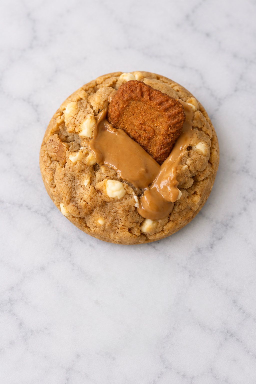 Lotus Biscoff Cookie